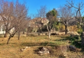 Terreny no urbanitzable en venda a Tortosa ref.: TR103295 foto