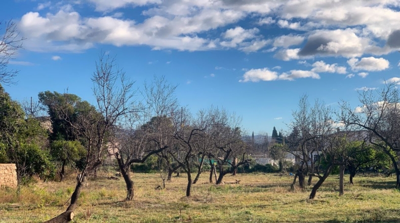 Tarragona - els Reguers - 3833m2