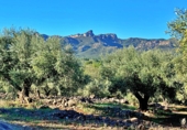 Masia amb terreny en venda a el Perelló ref.: TR103402 foto