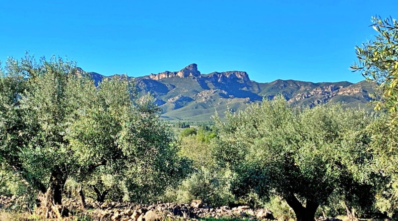 Tarragona - el Perelló - 102800m2