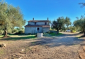 Masia amb terreny en venda a el Perelló ref.: TR103402 foto