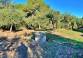 Masia amb terreny en venda a el Perelló ref.: TR103402 foto