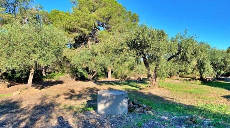 Tarragona - el Perelló - 102800m2