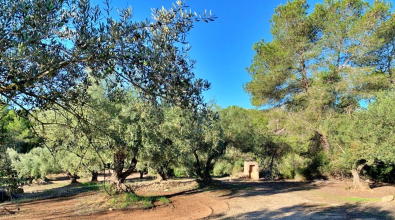 Tarragona - el Perelló - 102800m2
