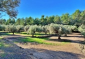 Masia amb terreny en venda a el Perelló ref.: TR103402 foto