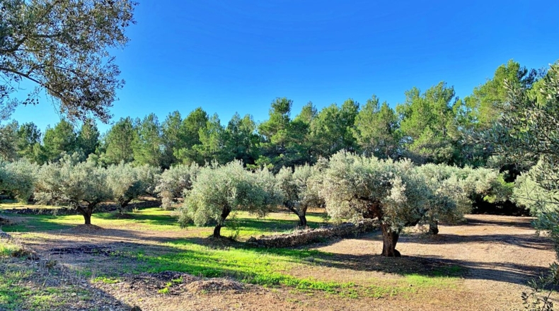 Tarragona - el Perelló - 102800m2