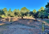 Masia amb terreny en venda a el Perelló ref.: TR103402 foto