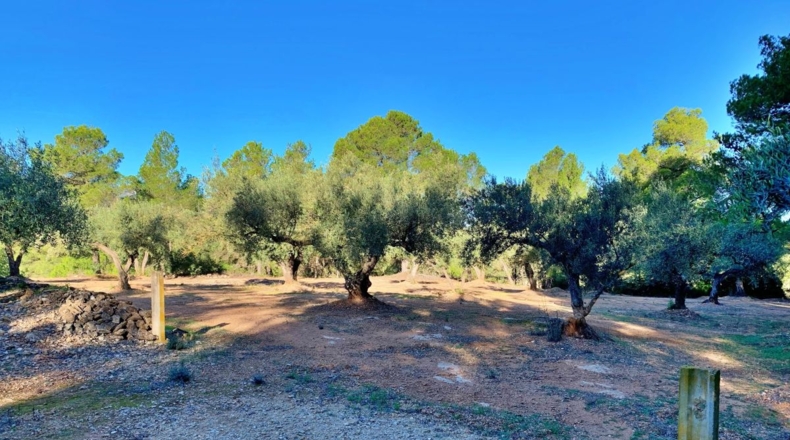 Tarragona - el Perelló - 102800m2