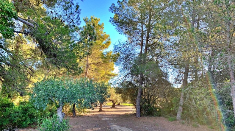 Tarragona - el Perelló - 102800m2