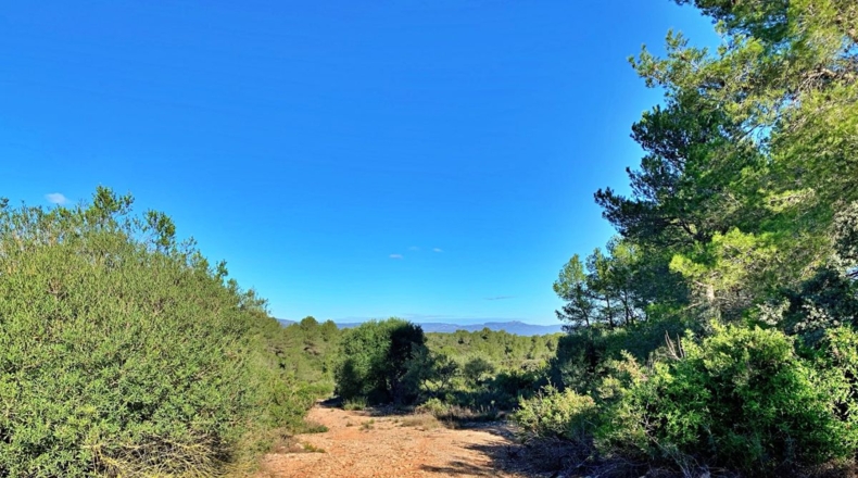 Tarragona - el Perelló - 102800m2