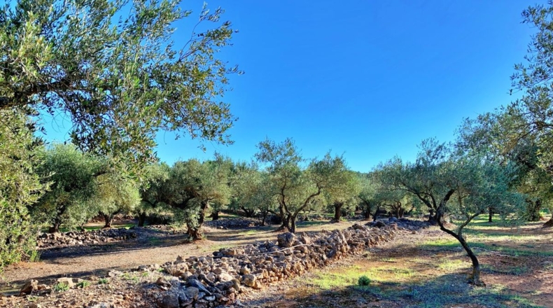 Tarragona - el Perelló - 102800m2