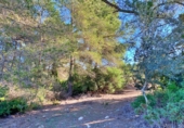 Masia amb terreny en venda a el Perelló ref.: TR103402 foto