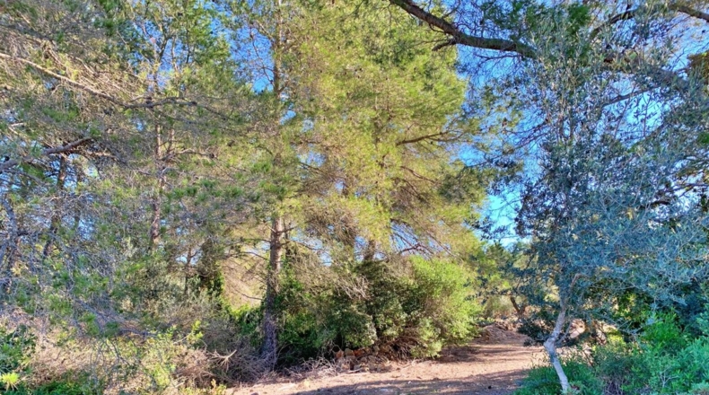 Tarragona - el Perelló - 102800m2