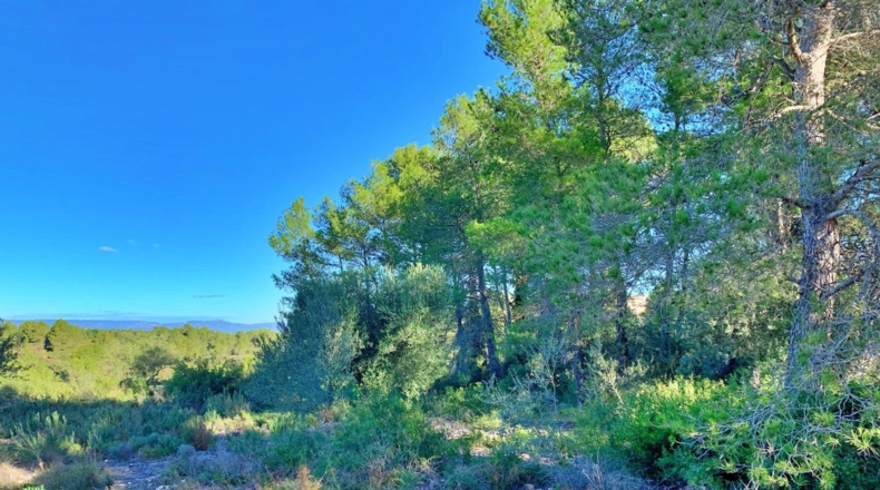 Tarragona - el Perelló - 102800m2