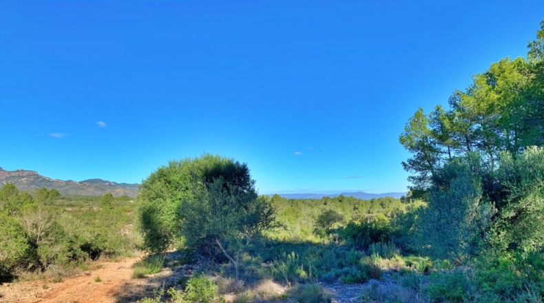 Tarragona - el Perelló - 102800m2