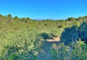 Masia amb terreny en venda a el Perelló ref.: TR103402 foto