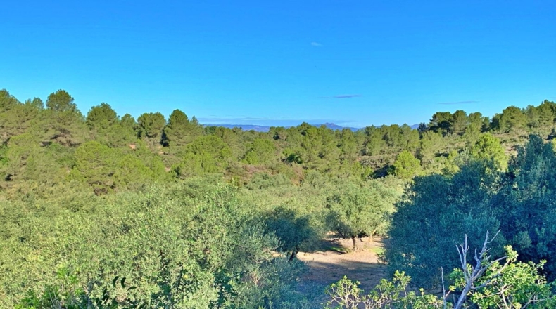 Tarragona - el Perelló - 102800m2