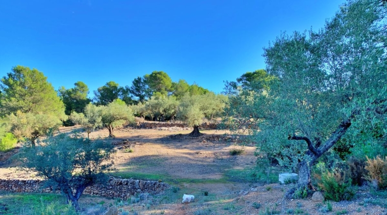 Tarragona - el Perelló - 102800m2