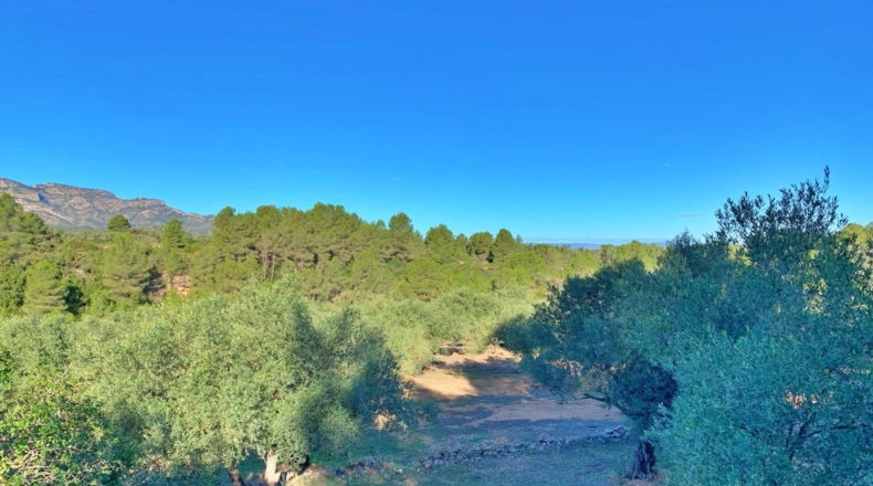 Tarragona - el Perelló - 102800m2