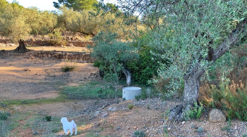 Tarragona - el Perelló - 102800m2