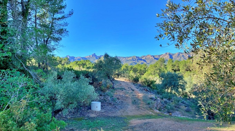 Tarragona - el Perelló - 102800m2