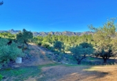 Masia amb terreny en venda a el Perelló ref.: TR103402 foto
