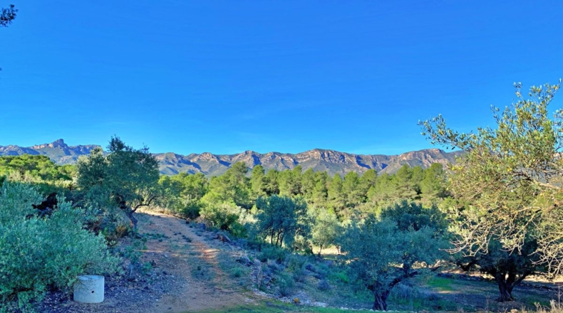 Tarragona - el Perelló - 102800m2