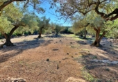 Masia amb terreny en venda a el Perelló ref.: TR103402 foto