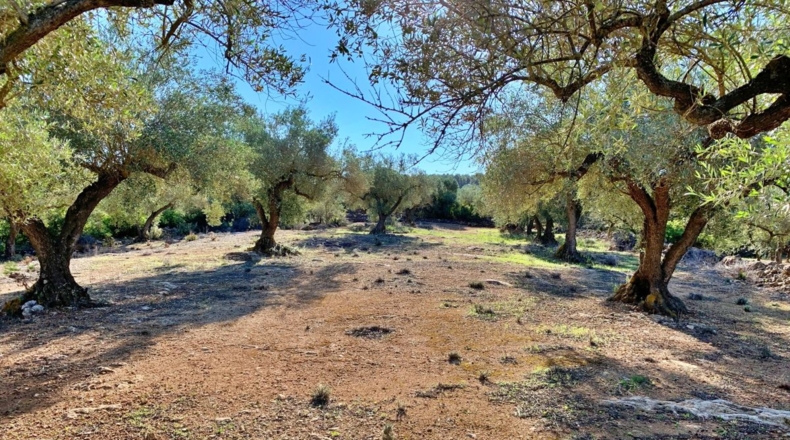 Tarragona - el Perelló - 102800m2