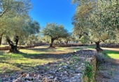 Masia amb terreny en venda a el Perelló ref.: TR103402 foto