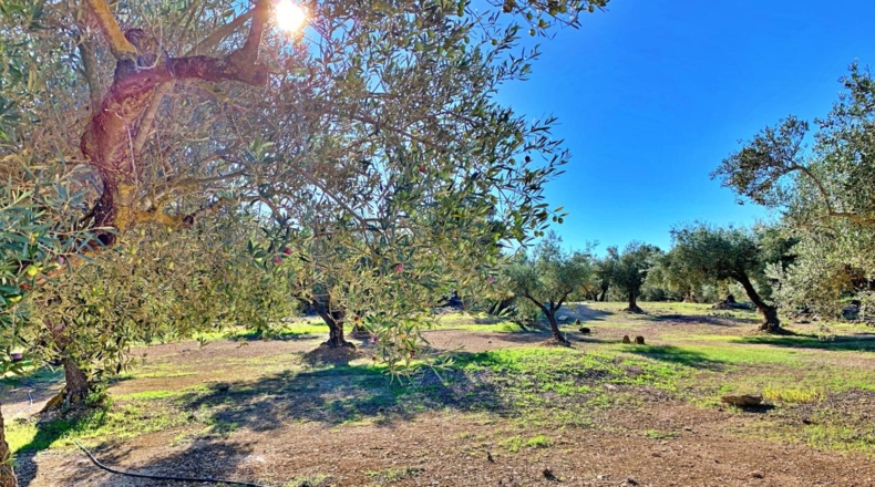 Tarragona - el Perelló - 102800m2