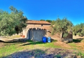 Masia amb terreny en venda a el Perelló ref.: TR103402 foto