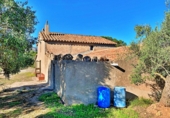 Masia amb terreny en venda a el Perelló ref.: TR103402 foto
