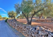 Masia amb terreny en venda a el Perelló ref.: TR103402 foto