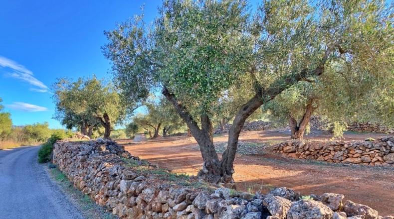 Tarragona - el Perelló - 102800m2