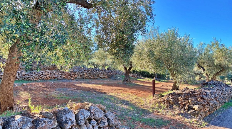 Tarragona - el Perelló - 102800m2
