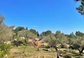 Xalet independent amb terreny en venda a el Perelló ref.: TR199608 foto