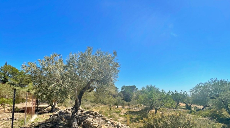 Tarragona - el Perelló - 13000m2