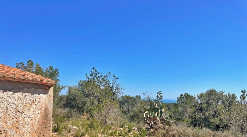 Tarragona - el Perelló - 13000m2