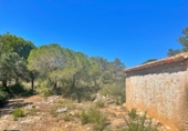 Xalet independent amb terreny en venda a el Perelló ref.: TR199608 foto