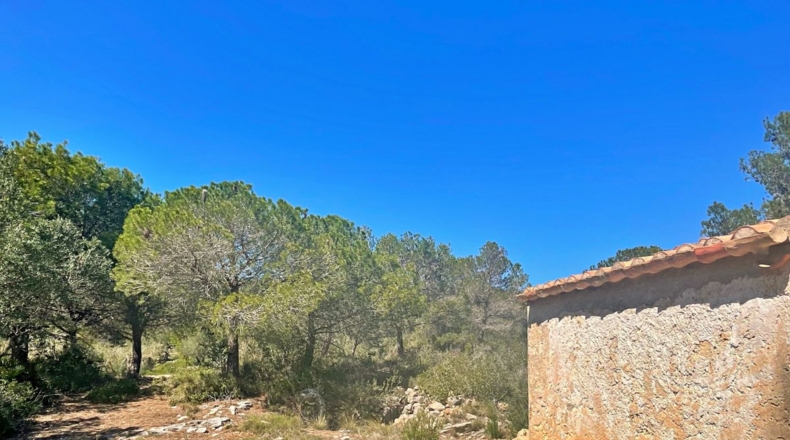 Tarragona - el Perelló - 13000m2