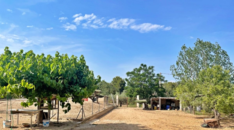 Tarragona - els Reguers - 3052m2