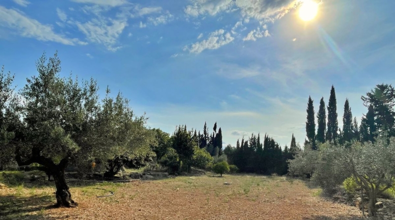 Tarragona - els Reguers - 3052m2