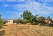 Отдельно стоящий дом с участком на продажу в городе Tortosa. Фото