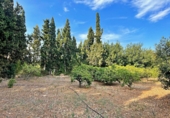 Отдельно стоящий дом с участком на продажу в городе Tortosa. Фото