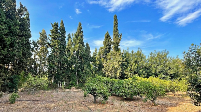 Tarragona - els Reguers - 3052m2