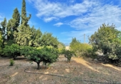 Отдельно стоящий дом с участком на продажу в городе Tortosa. Фото