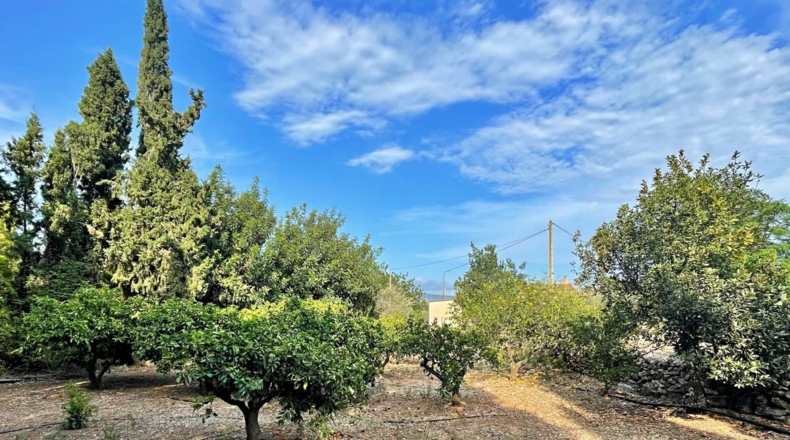 Tarragona - els Reguers - 3052m2