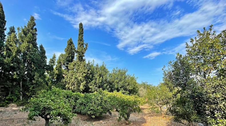 Tarragona - els Reguers - 3052m2