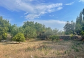 Отдельно стоящий дом с участком на продажу в городе Tortosa. Фото